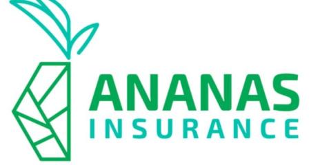 Ananas Insurance