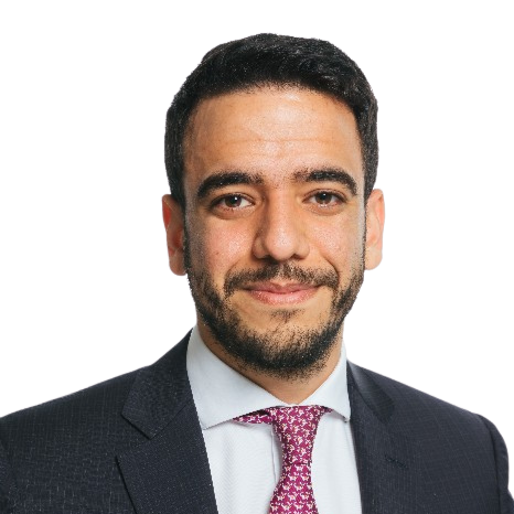 Ahmed El Hamawy